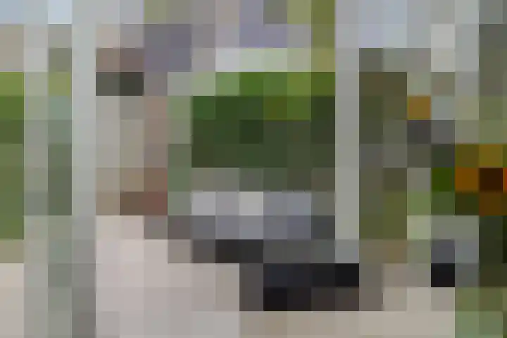 de Savornin Lohmanstraat 26 's-Hertogenbosch thumbnail 5