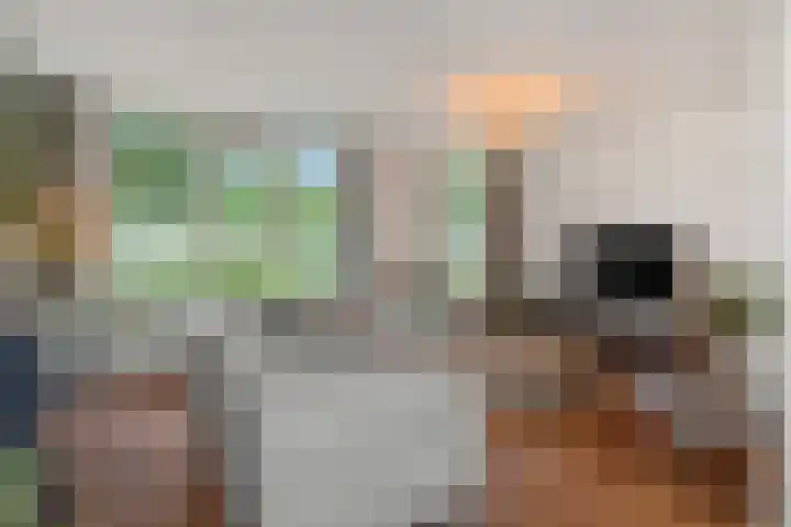 de Savornin Lohmanstraat 26 's-Hertogenbosch thumbnail 8