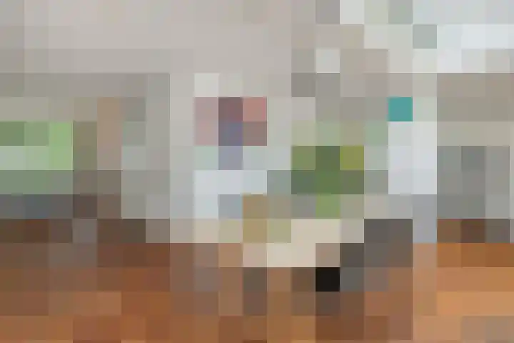 de Savornin Lohmanstraat 26 's-Hertogenbosch thumbnail 9