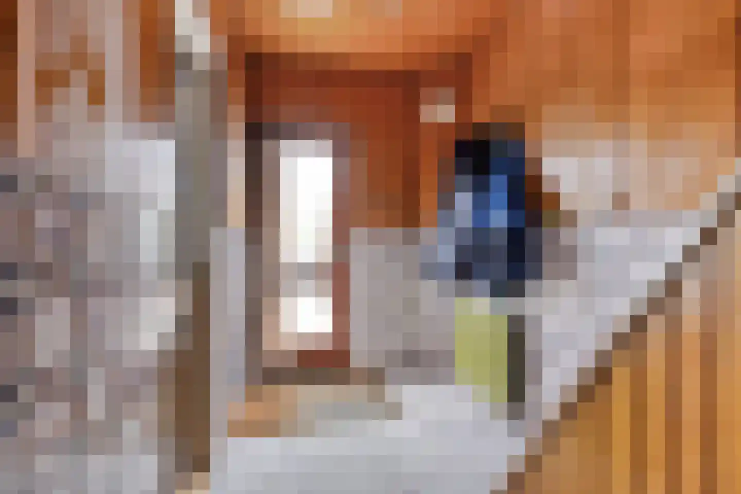 de Savornin Lohmanstraat 3 Bunschoten-Spakenburg thumbnail 6