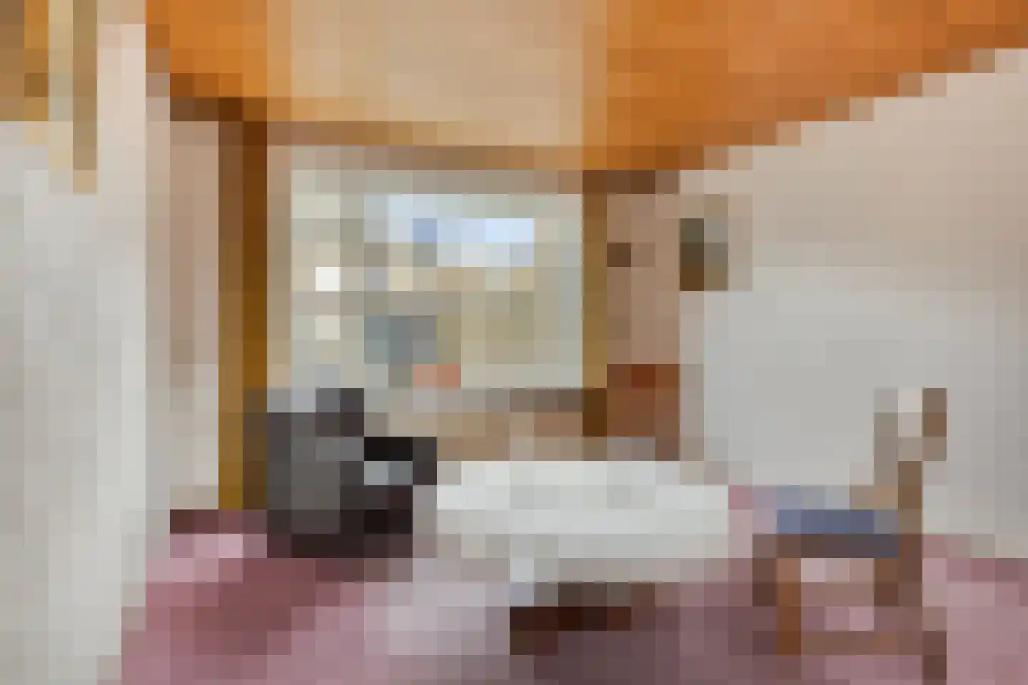de Savornin Lohmanstraat 3 Bunschoten-Spakenburg thumbnail 7