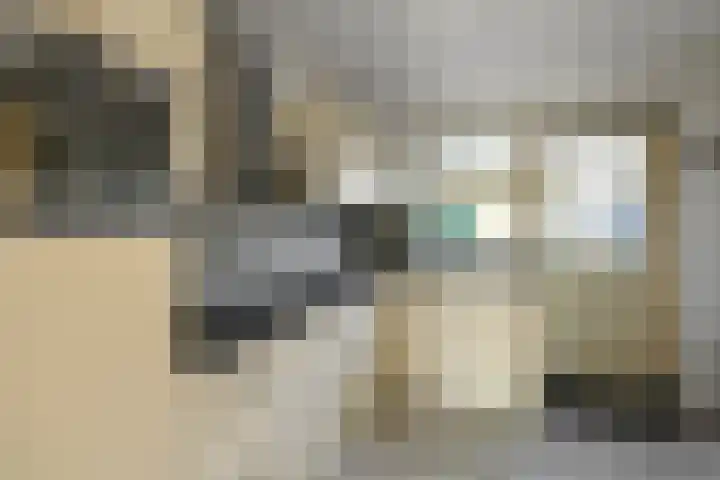 De Savornin Lohmanstraat 3 Elst thumbnail 13