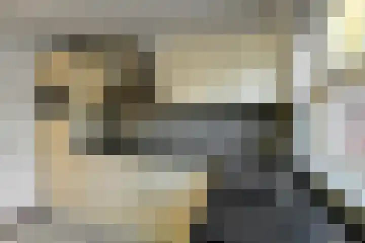 De Savornin Lohmanstraat 3 Elst thumbnail 14