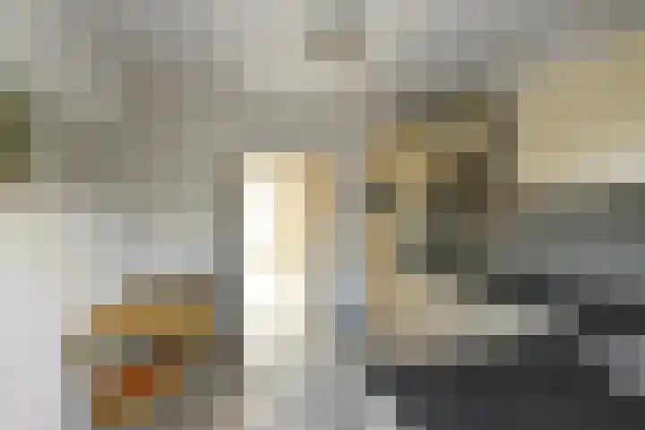 De Savornin Lohmanstraat 3 Elst thumbnail 15