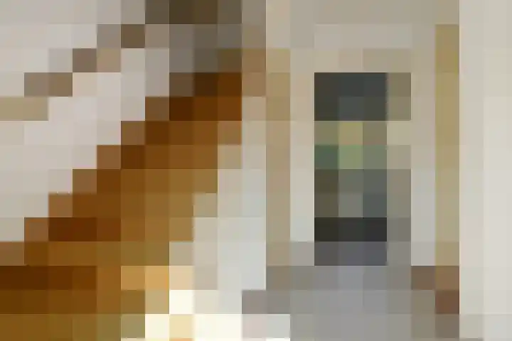 De Savornin Lohmanstraat 3 Elst thumbnail 17