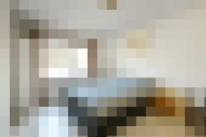De Savornin Lohmanstraat 3 Elst thumbnail 19