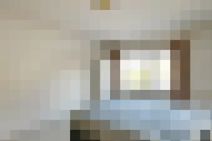 De Savornin Lohmanstraat 3 Elst thumbnail 20
