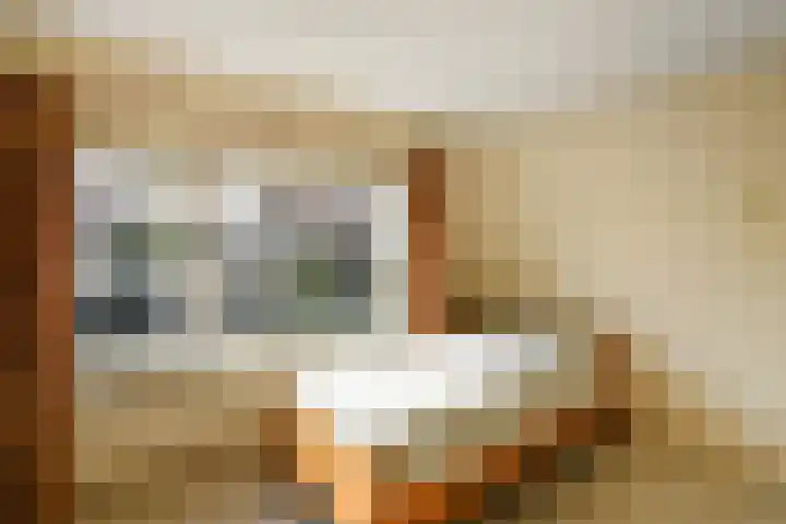 De Savornin Lohmanstraat 3 Elst thumbnail 25