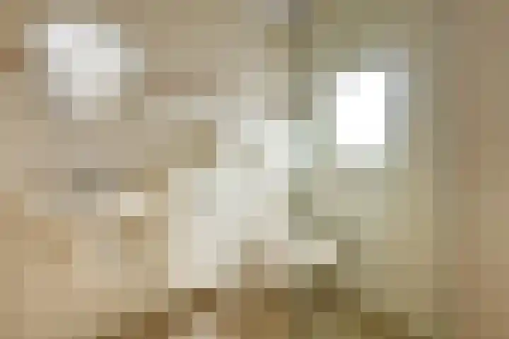 De Savornin Lohmanstraat 3 Elst thumbnail 27