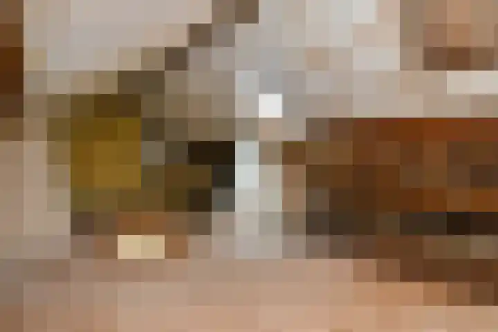 De Savornin Lohmanstraat 3 Elst thumbnail 31