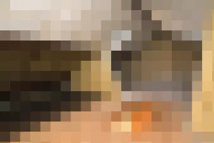 De Savornin Lohmanstraat 3 Elst thumbnail 32