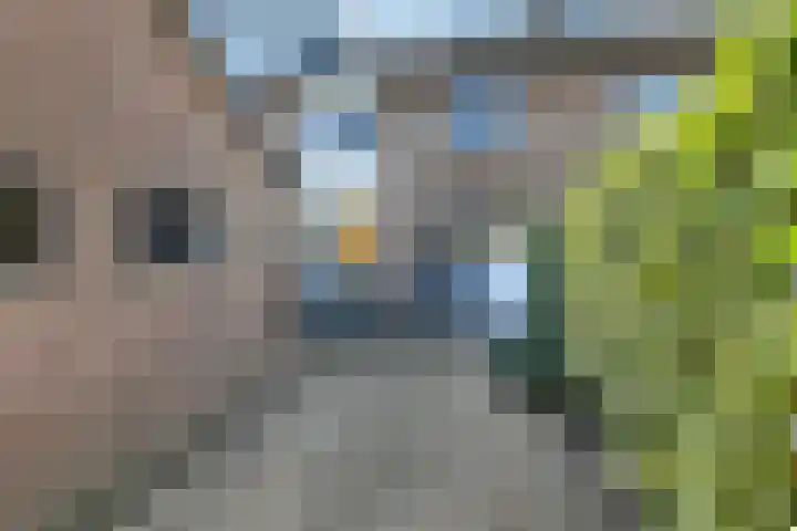 De Savornin Lohmanstraat 3 Elst thumbnail 33
