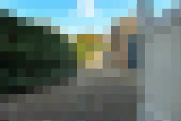 De Savornin Lohmanstraat 3 Elst thumbnail 34
