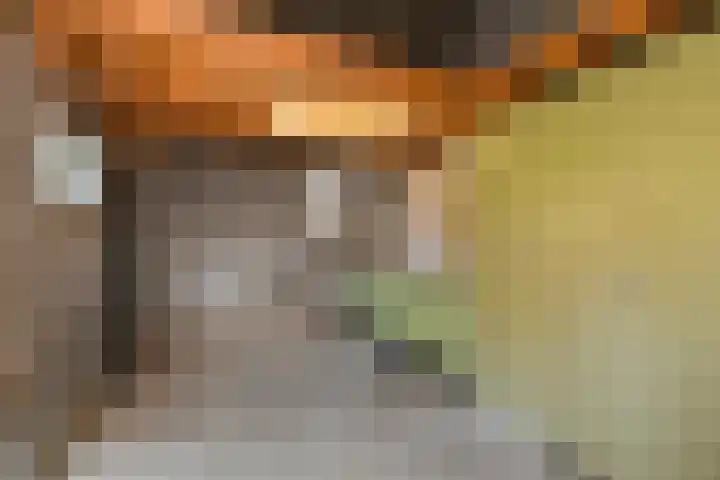 De Savornin Lohmanstraat 3 Elst thumbnail 37