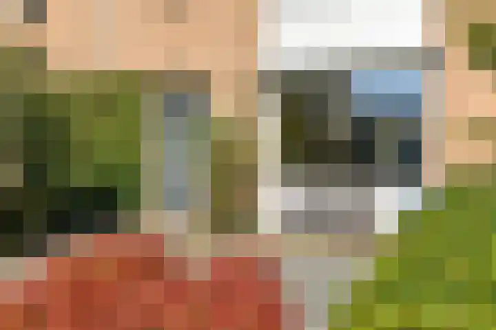 De Savornin Lohmanstraat 3 Elst thumbnail 4