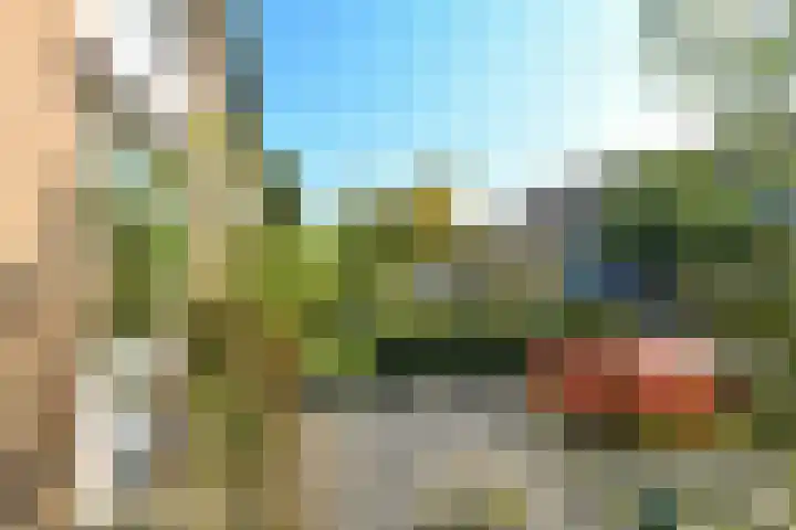 De Savornin Lohmanstraat 3 Elst thumbnail 5