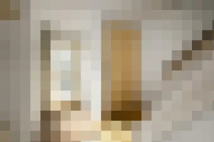 De Savornin Lohmanstraat 3 Elst thumbnail 6
