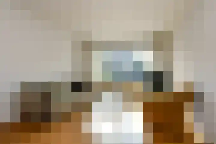 De Savornin Lohmanstraat 3 Elst thumbnail 7