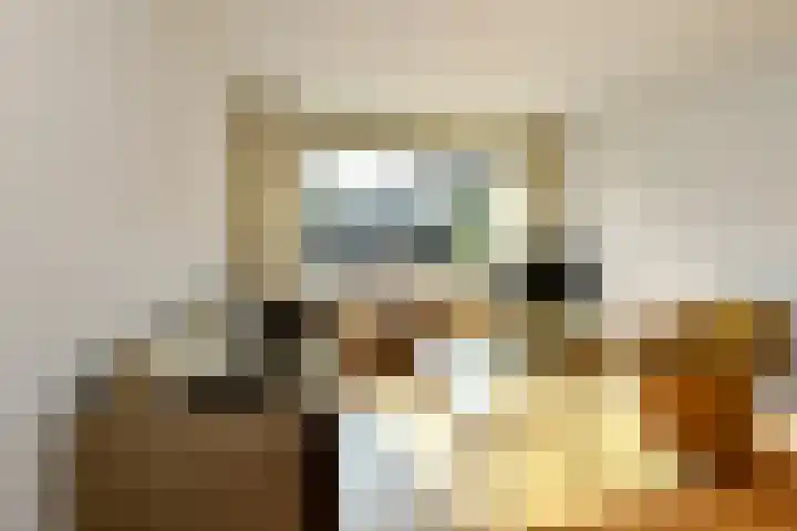 De Savornin Lohmanstraat 3 Elst thumbnail 8