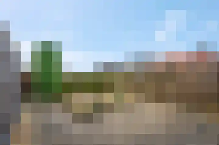de Savornin Lohmanstraat 33 Lunteren thumbnail 17