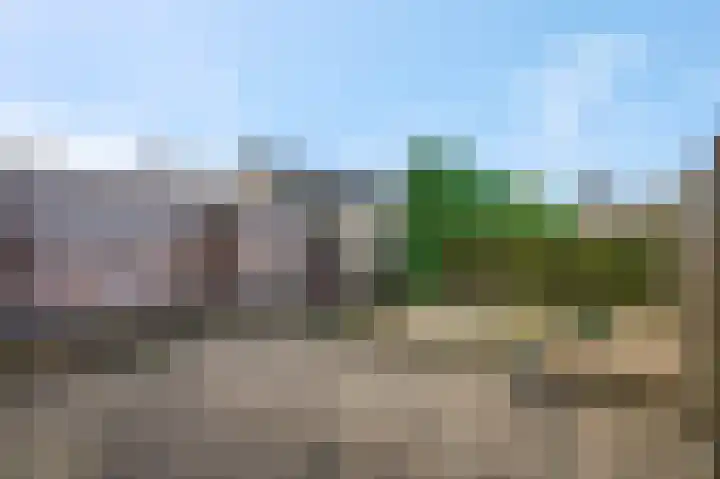 de Savornin Lohmanstraat 33 Lunteren thumbnail 18