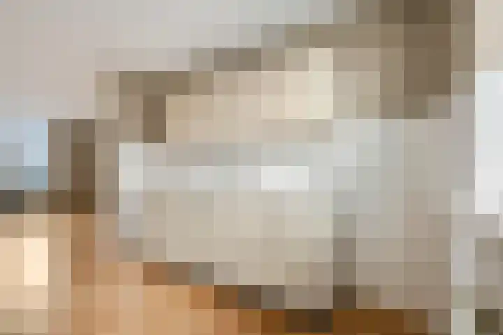 de Savornin Lohmanstraat 33 Lunteren thumbnail 6