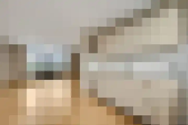 de Savornin Lohmanstraat 33 Lunteren thumbnail 7