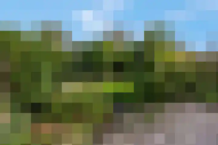 de Savornin Lohmanstraat 34 Lunteren thumbnail 20