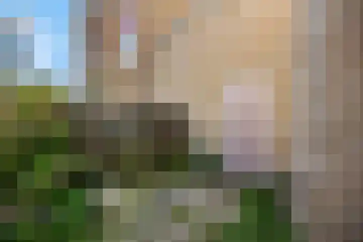 de Savornin Lohmanstraat 34 Lunteren thumbnail 21