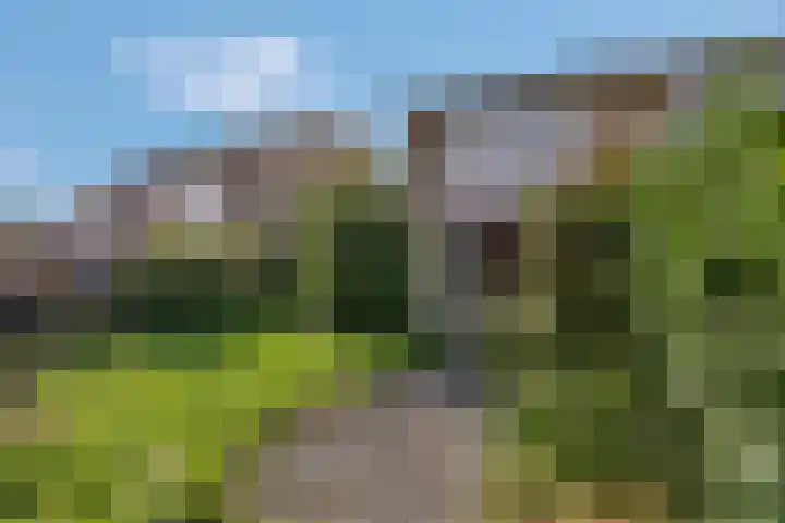 de Savornin Lohmanstraat 34 Lunteren thumbnail 23