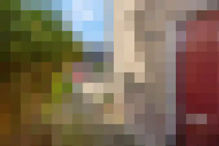 de Savornin Lohmanstraat 34 Lunteren thumbnail 26