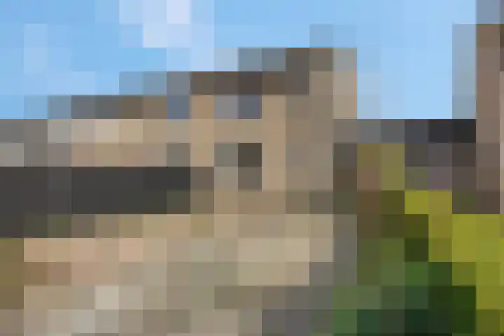 de Savornin Lohmanstraat 34 Lunteren thumbnail 27