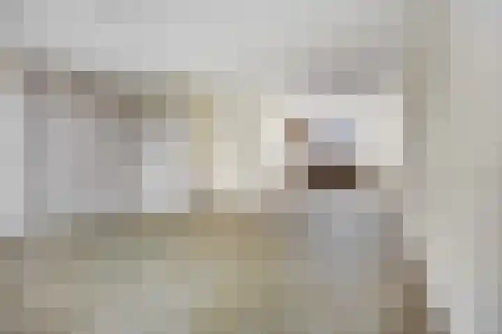 de Savornin Lohmanstraat 34 Lunteren thumbnail 5