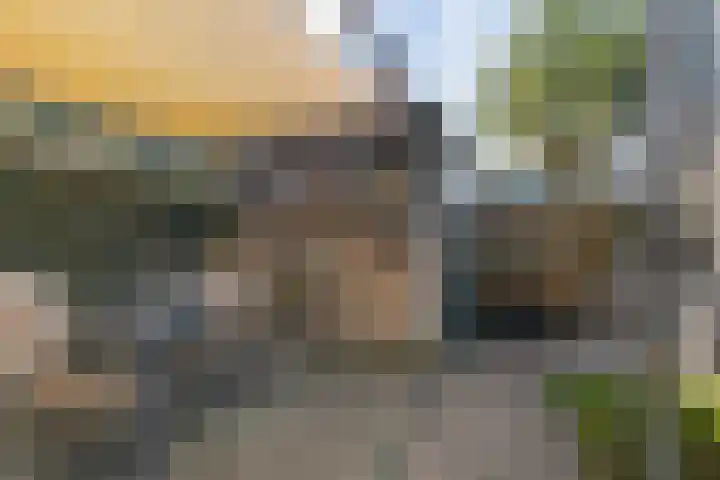 de Savornin Lohmanstraat 40 Coevorden thumbnail 36