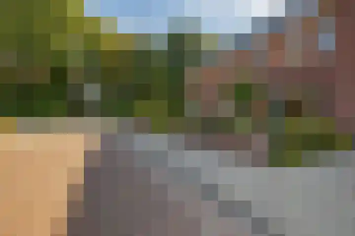 de Savornin Lohmanstraat 40 Coevorden thumbnail 4