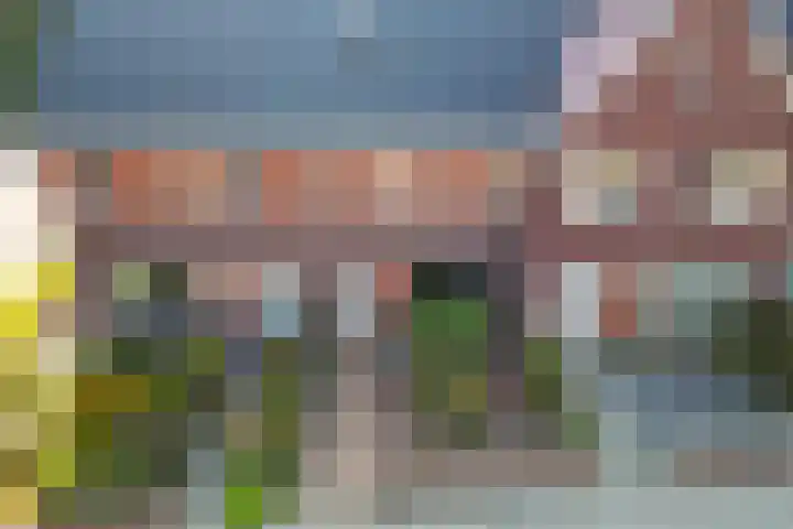 de Savornin Lohmanstraat 40 Coevorden thumbnail 42