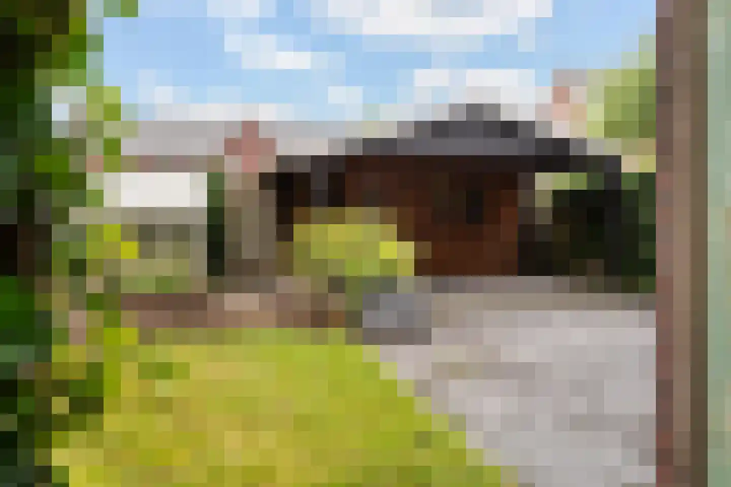 de Savornin Lohmanstraat 42 Coevorden thumbnail 27