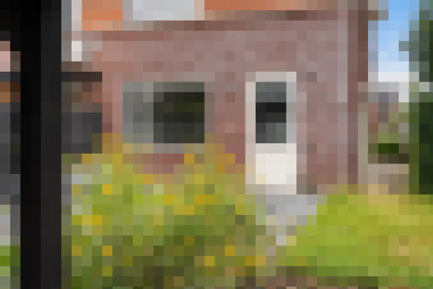 de Savornin Lohmanstraat 42 Coevorden thumbnail 28