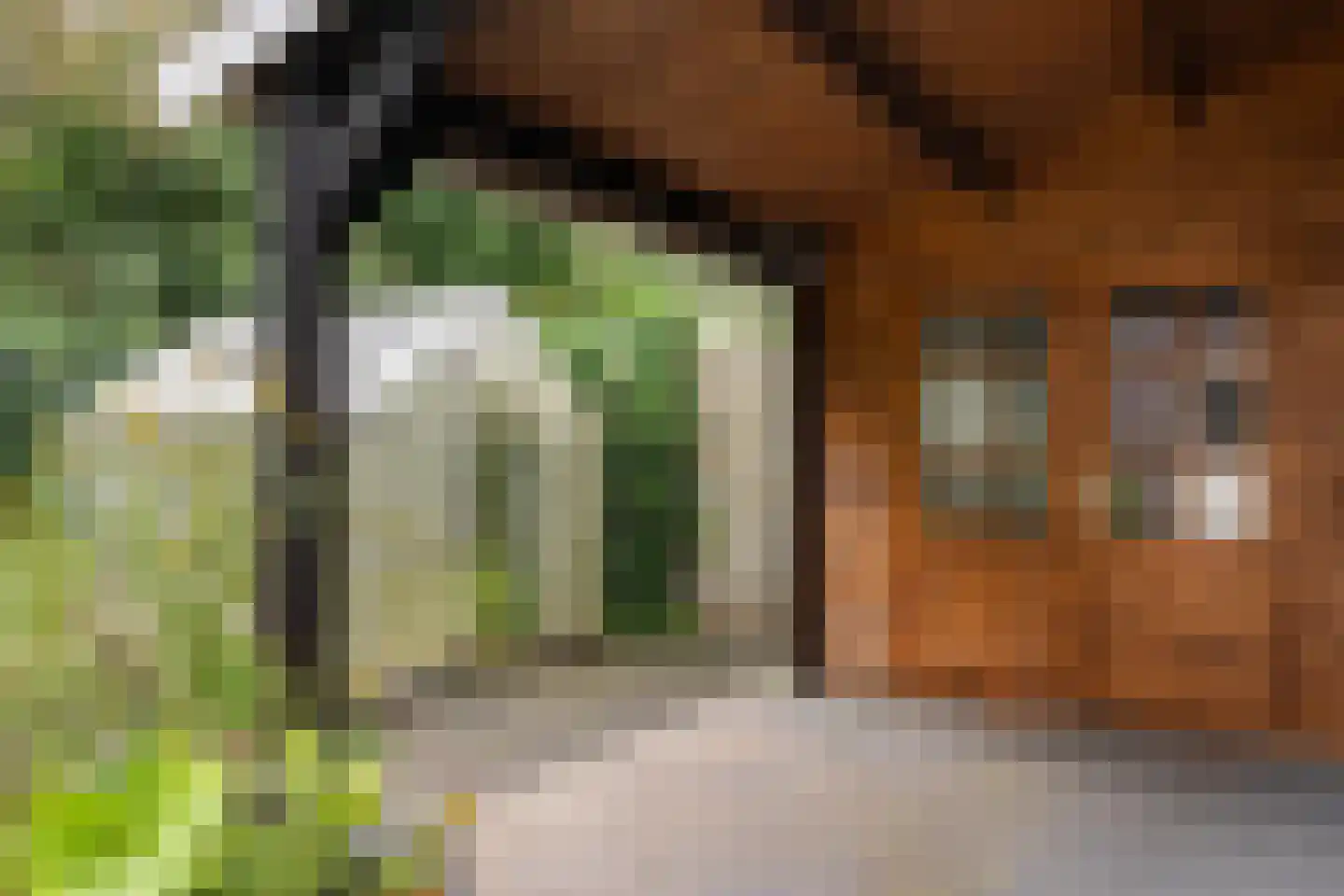 de Savornin Lohmanstraat 42 Coevorden thumbnail 30