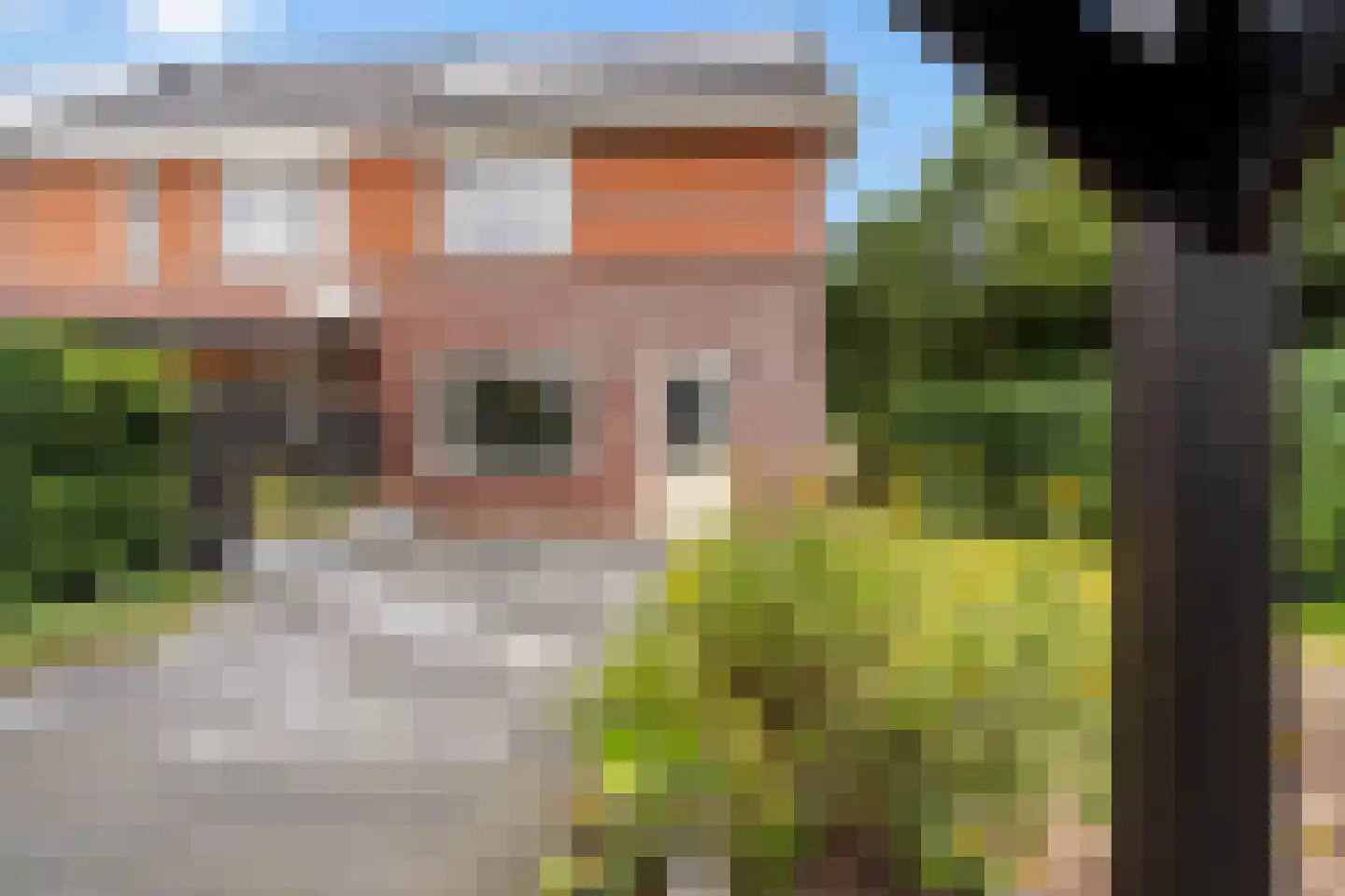 de Savornin Lohmanstraat 42 Coevorden thumbnail 32