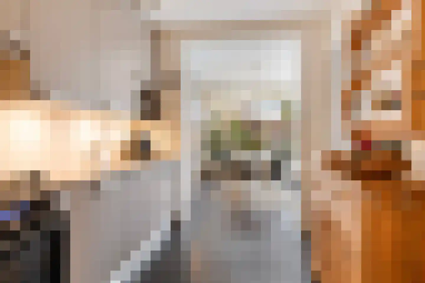 De Savornin Lohmanstraat 48 Elst thumbnail 19