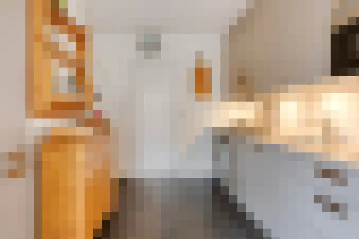 De Savornin Lohmanstraat 48 Elst thumbnail 20