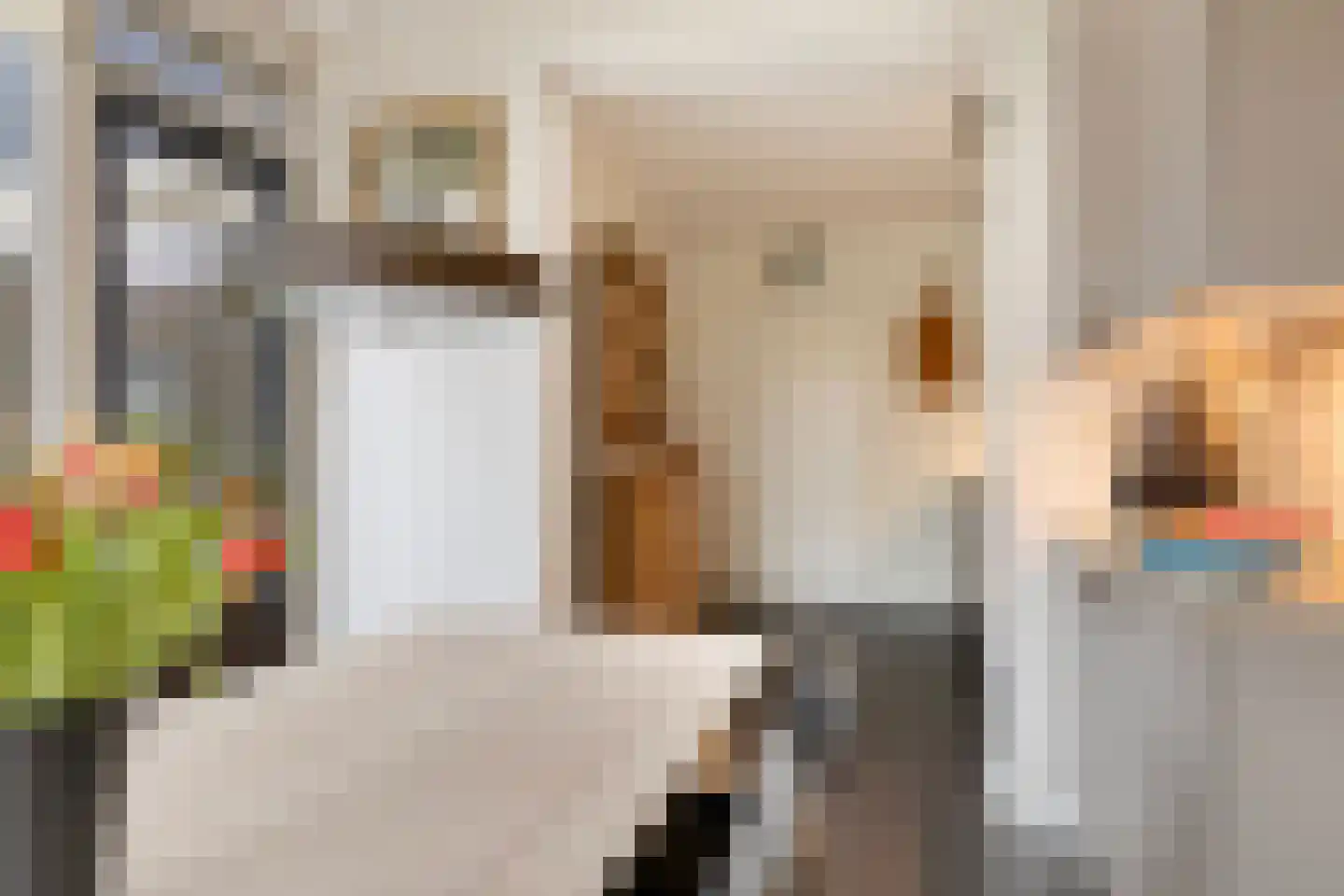 De Savornin Lohmanstraat 48 Elst thumbnail 21