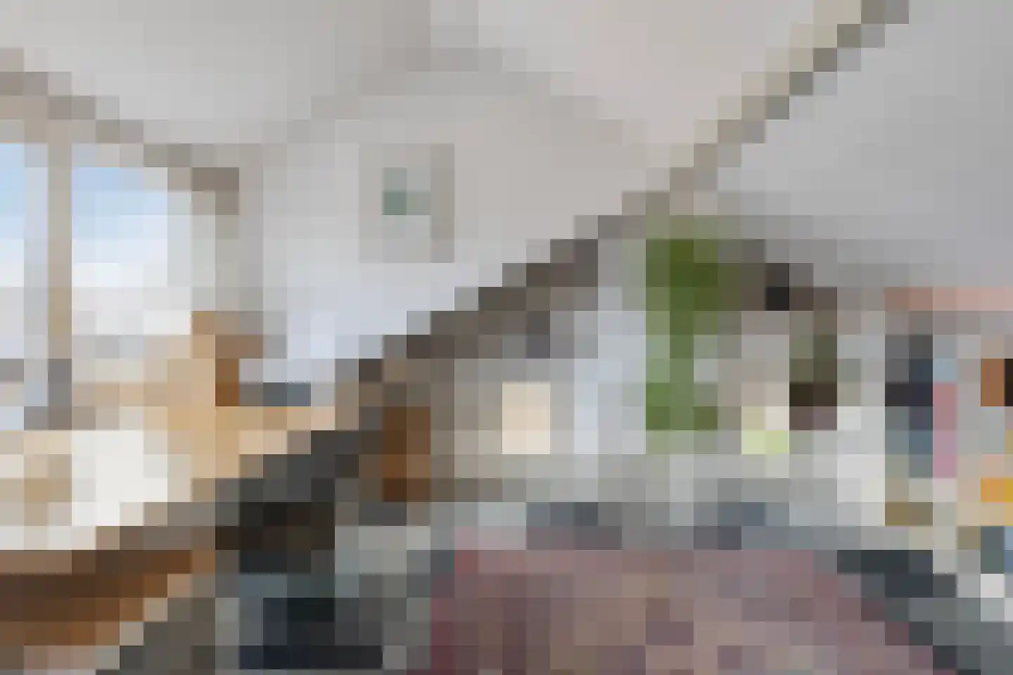 De Savornin Lohmanstraat 48 Elst thumbnail 36