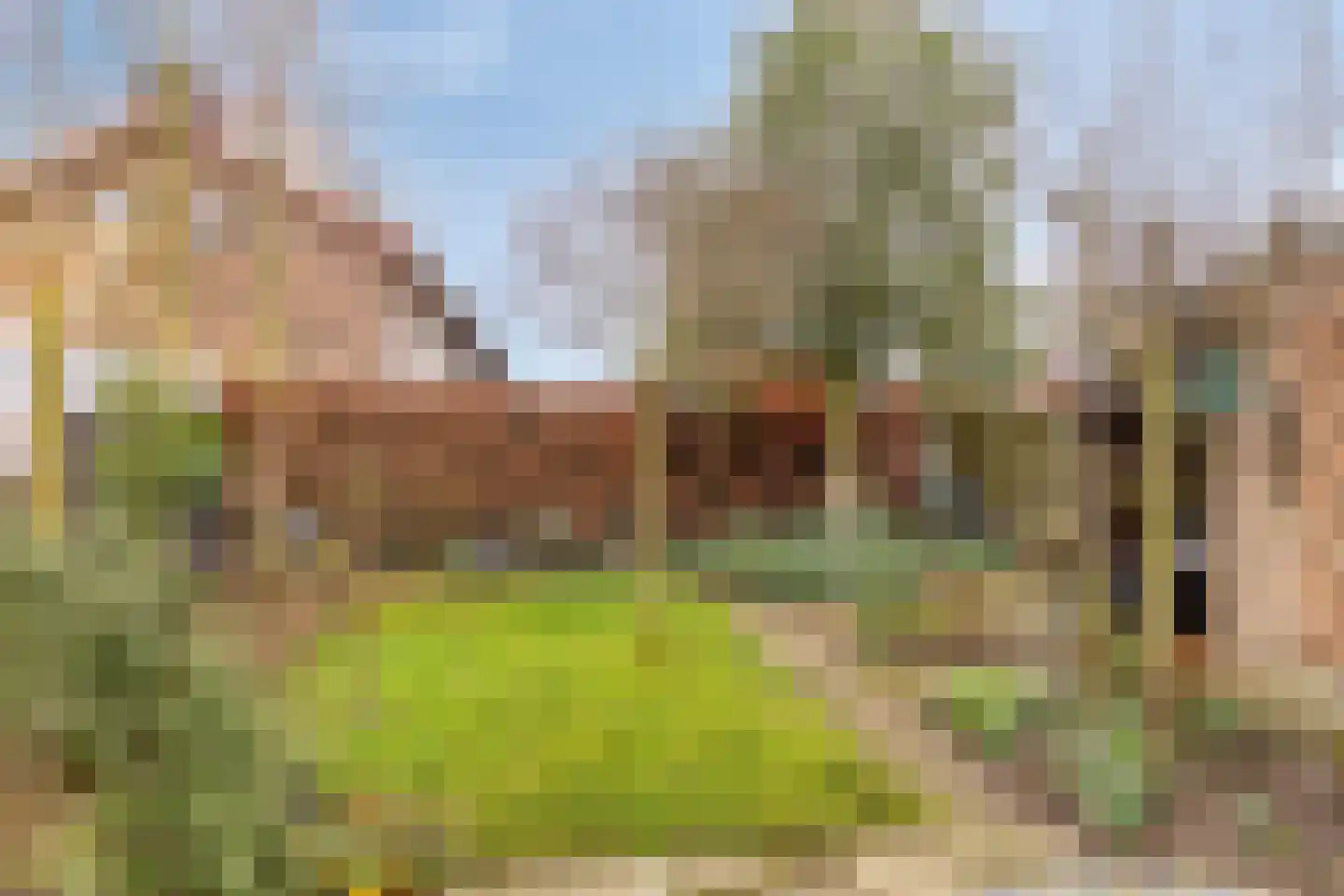 De Savornin Lohmanstraat 48 Elst thumbnail 41