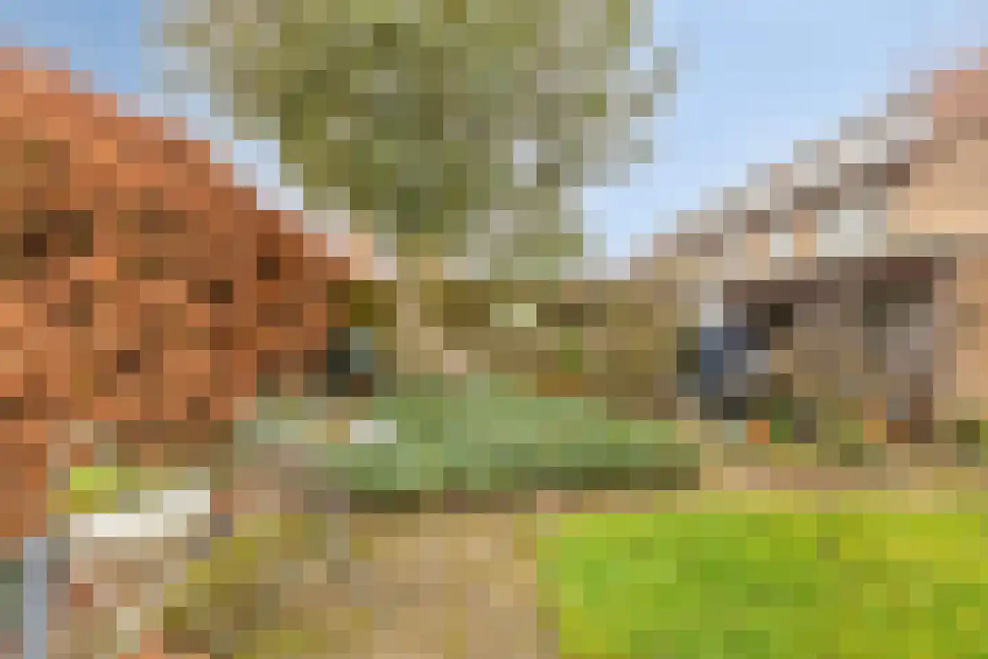 De Savornin Lohmanstraat 48 Elst thumbnail 43