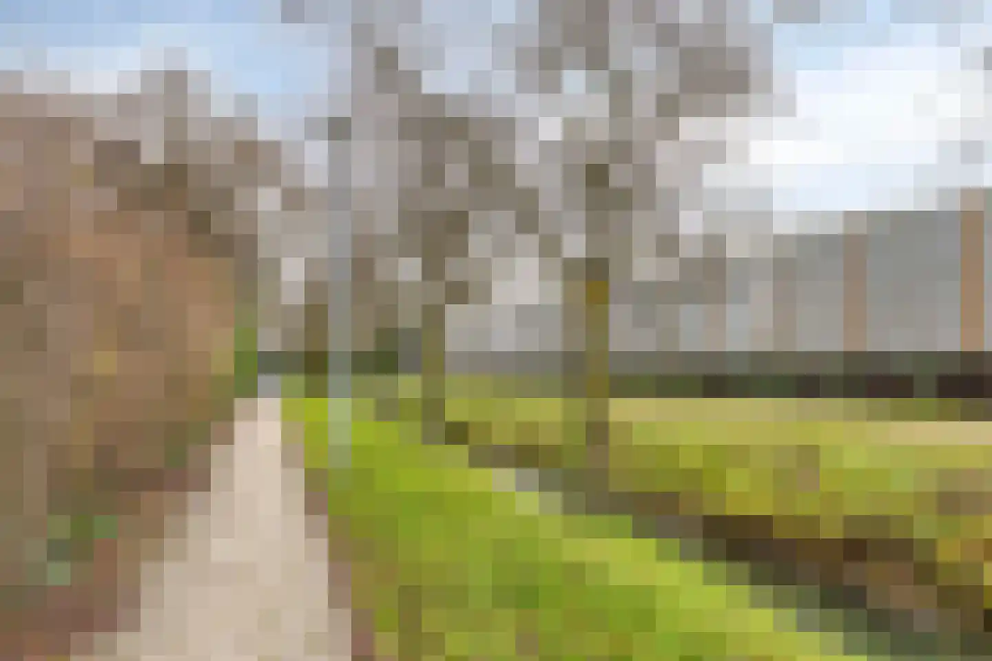 De Savornin Lohmanstraat 48 Elst thumbnail 45