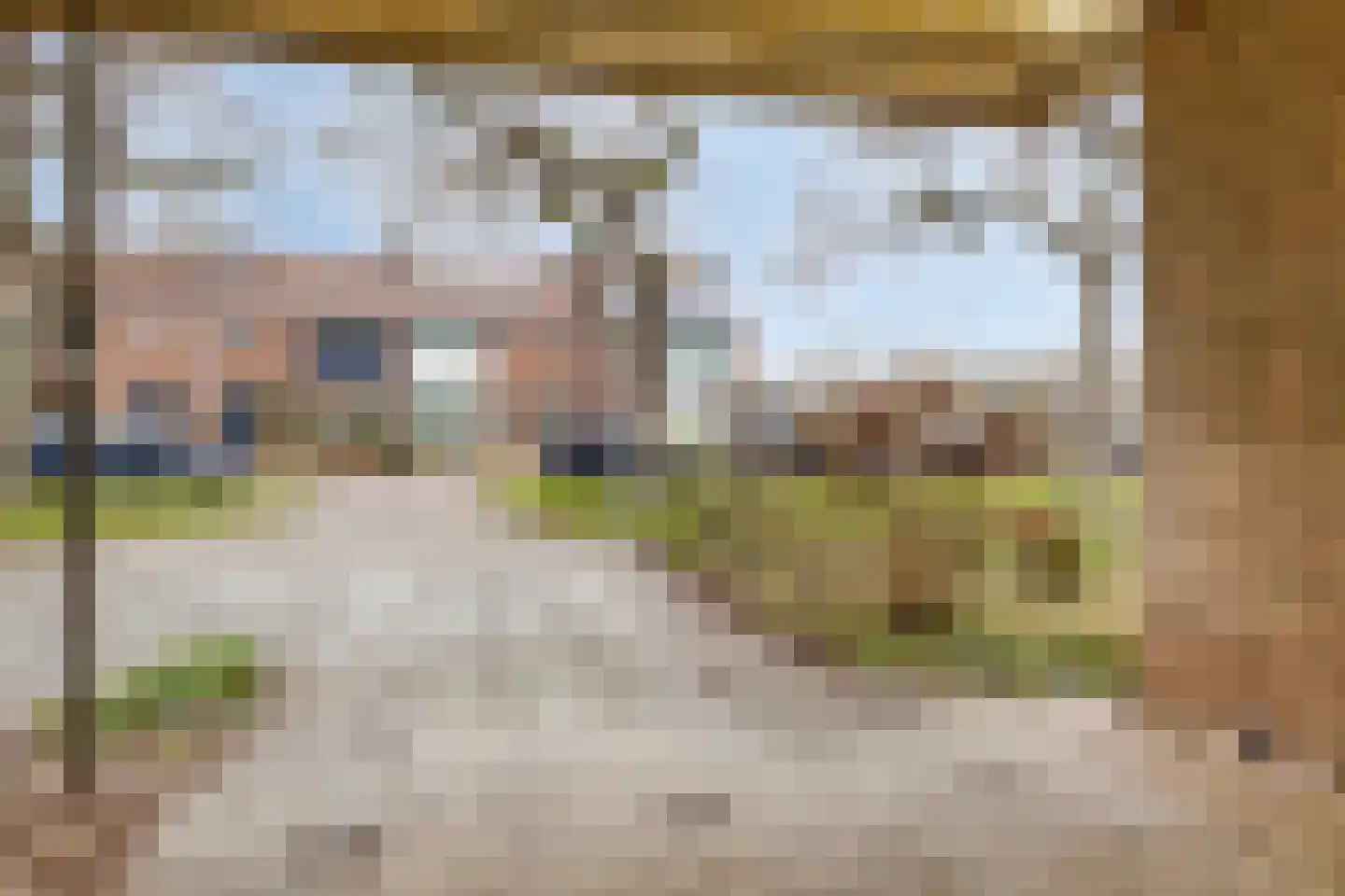 De Savornin Lohmanstraat 48 Elst thumbnail 8