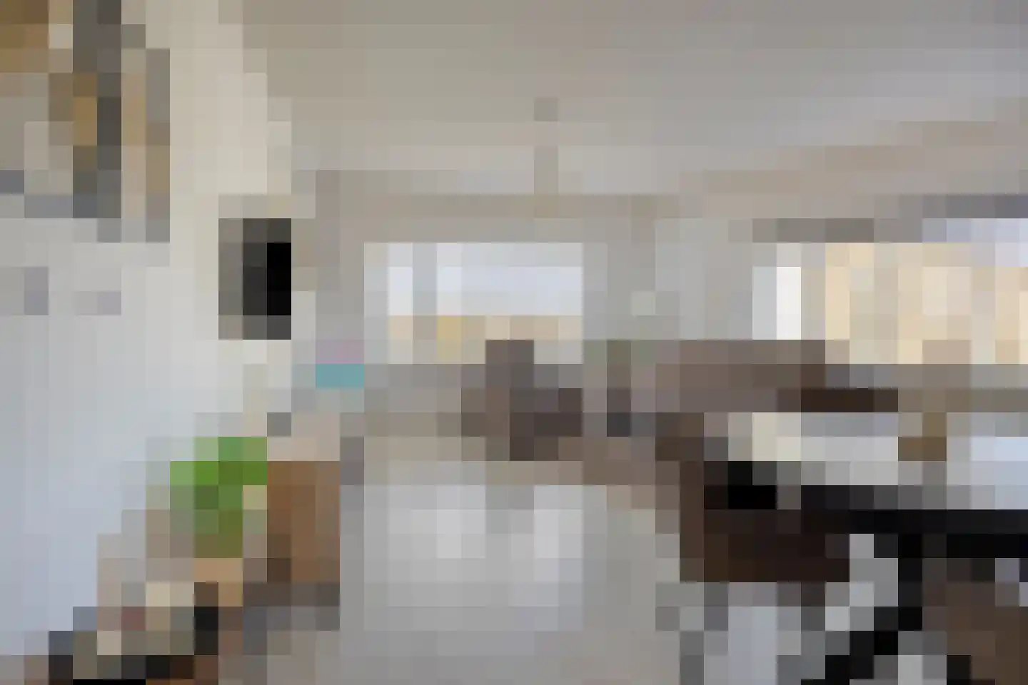 De Savornin Lohmanstraat 575 Amsterdam thumbnail 14