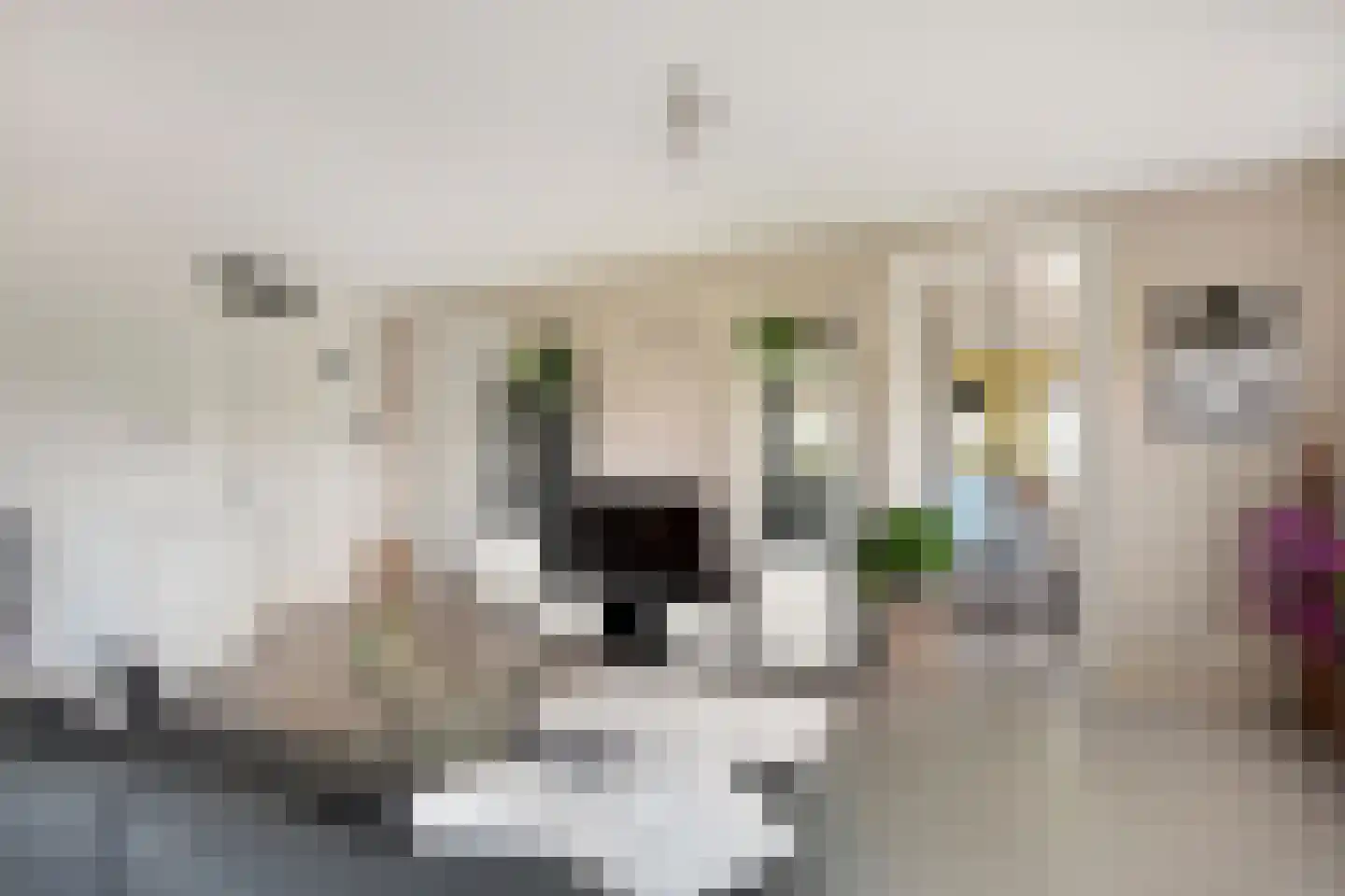 De Savornin Lohmanstraat 577 Amsterdam thumbnail 8
